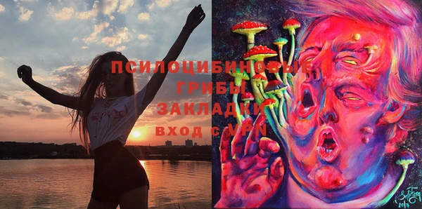 эйфоретик Алексин