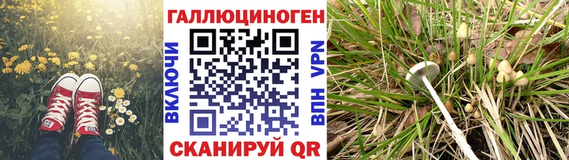 Галлюциногенные грибы MAGIC MUSHROOMS  Нижний Новгород 